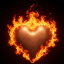 Non-Profit & Charity Icon